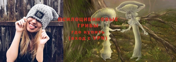 прущие крисы Няндома